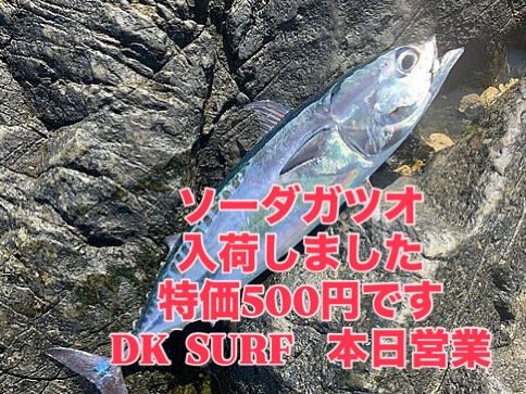本日おすすめ鮮魚