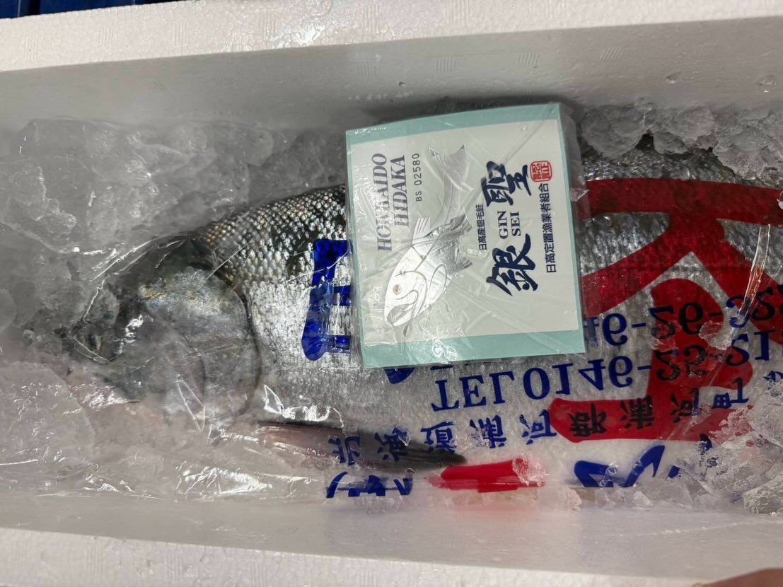 今週のおすすめは天然銀聖刺身　いくらの醤油漬けです‼️
