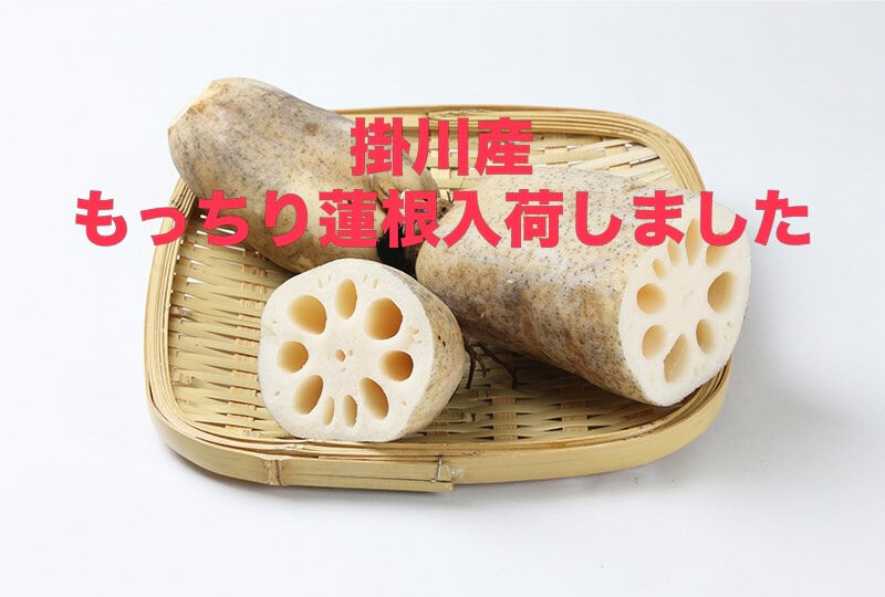 秋メニューの紹介のお知らせ